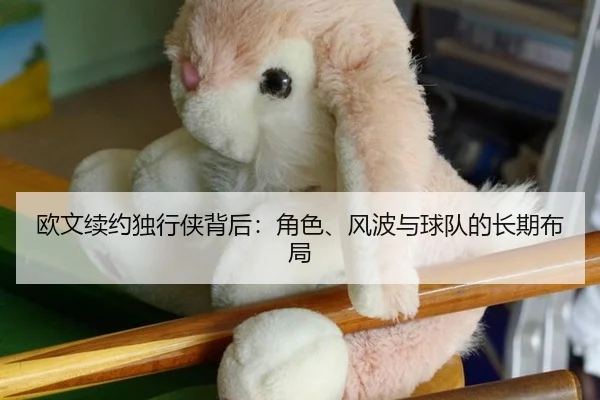 欧文续约独行侠背后：角色、风波与球队的长期布局